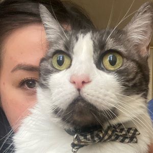 Meet your Posher, Michelle